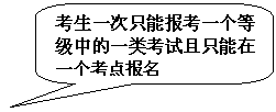 圆角矩形标注: 考生一次只能报考一个等级中的一类考试且只能在一个考点报名